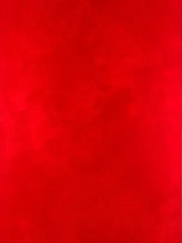 TR1 Alegrias 1 Alma Mercedes de Mata 2018