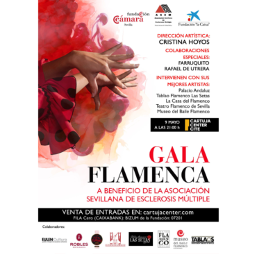 Gala Flamenca en Beneficio de la ASEM: uniendo arte y la solidaridad desde los tablaos de Sevilla