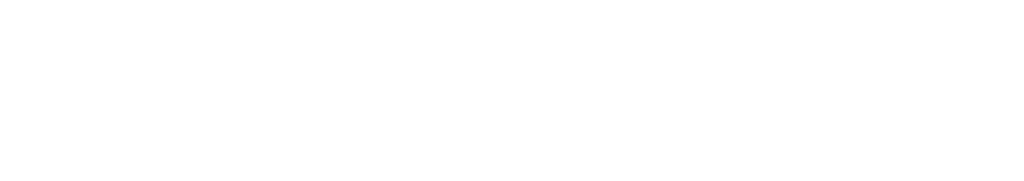 INAEM 02 MONOCROMATICO BLANCO 1024x181 1