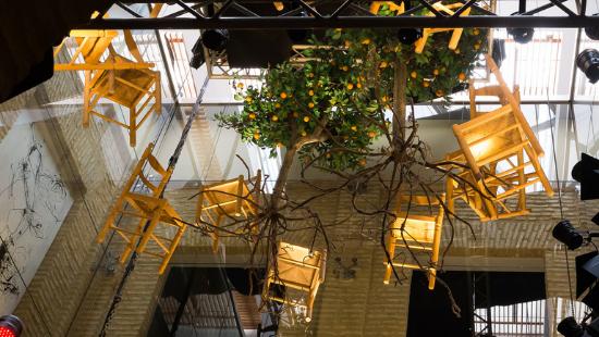 Ir a El Origen del Museo