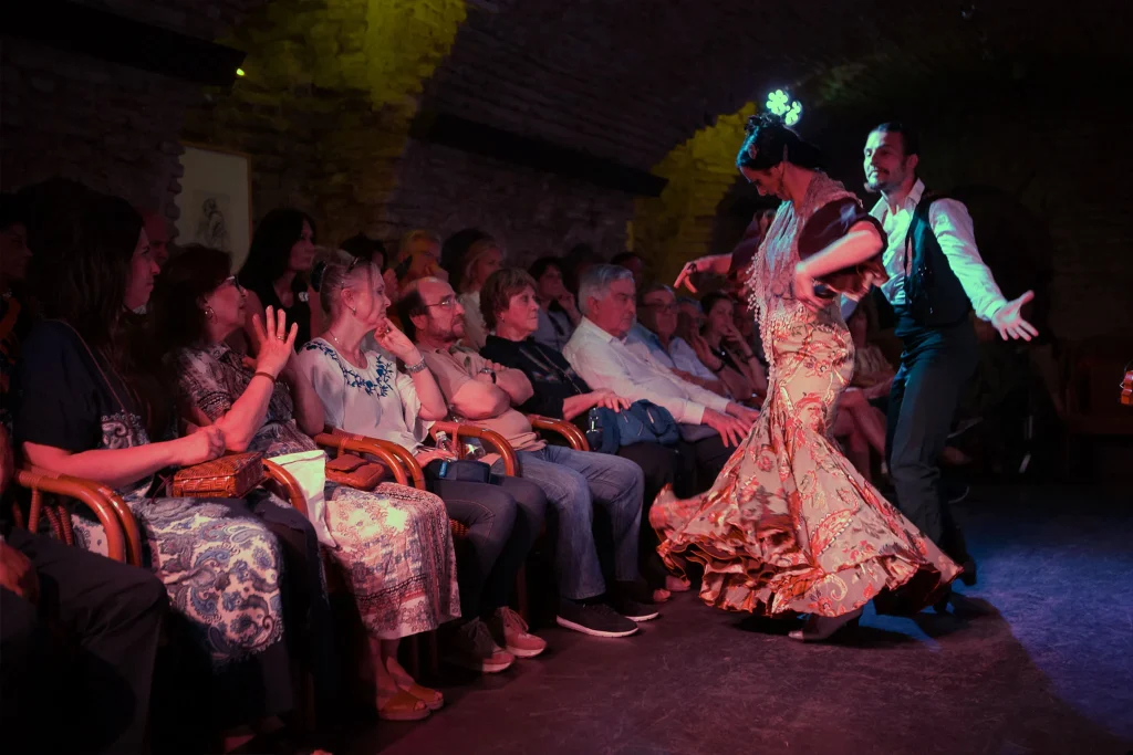 Flamencos Dreams Show
