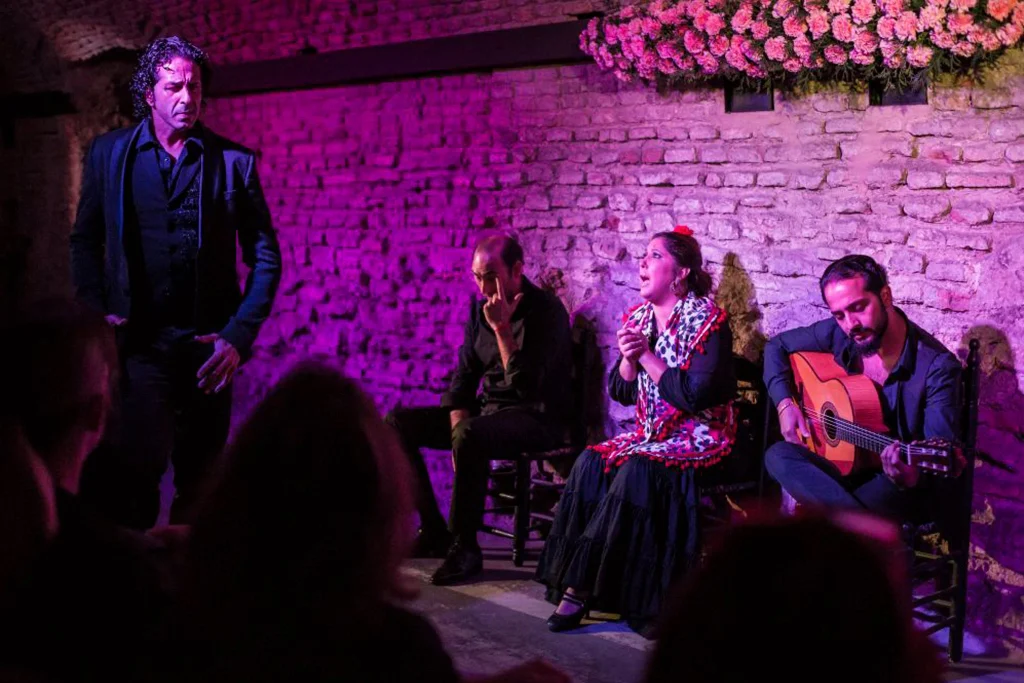 Flamencos Dreams Show