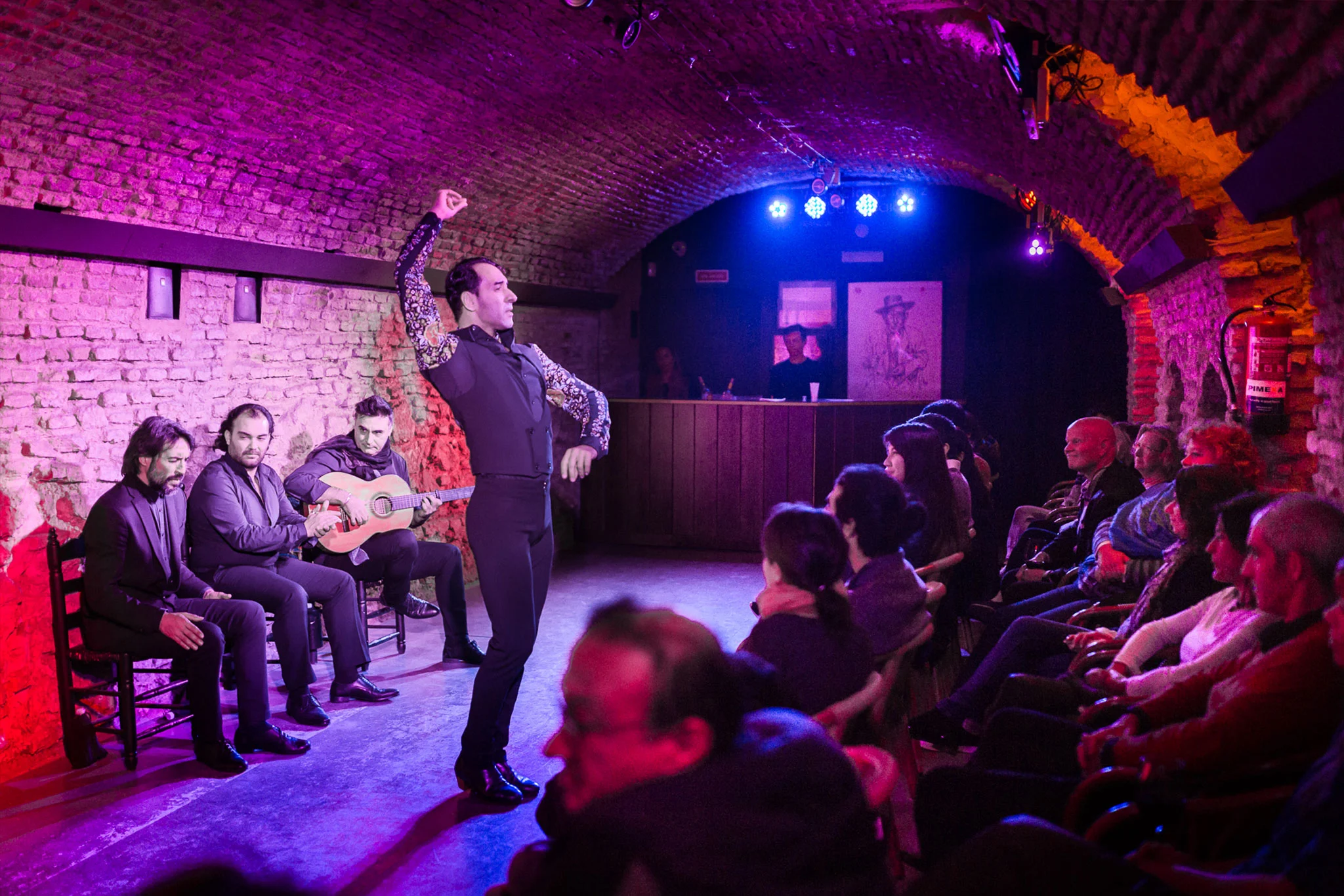 Flamencos Dreams Show